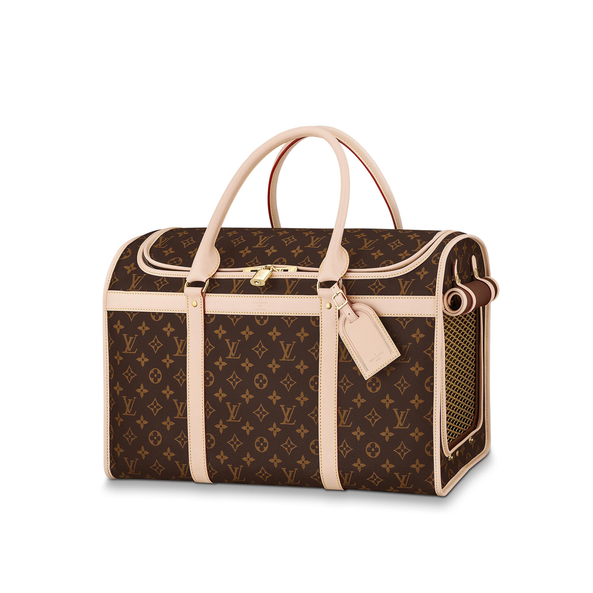 sac chien vuitton